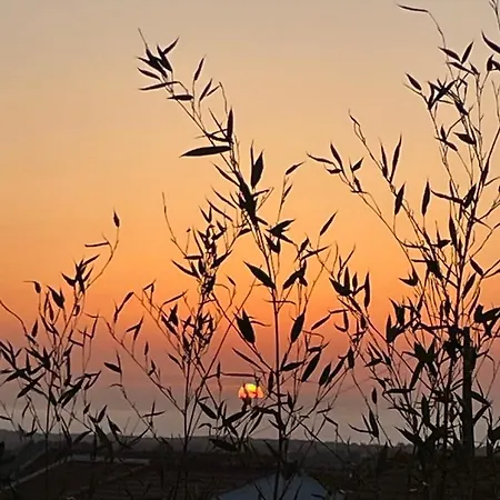 Cabana Mar E Serra Sesimbra